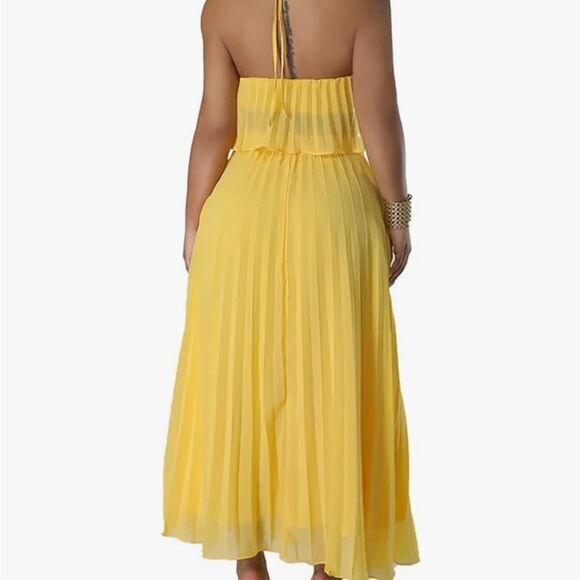 Two Piece Set Pleated Maxi Skirt and Crop Top - Picture 3 of 8